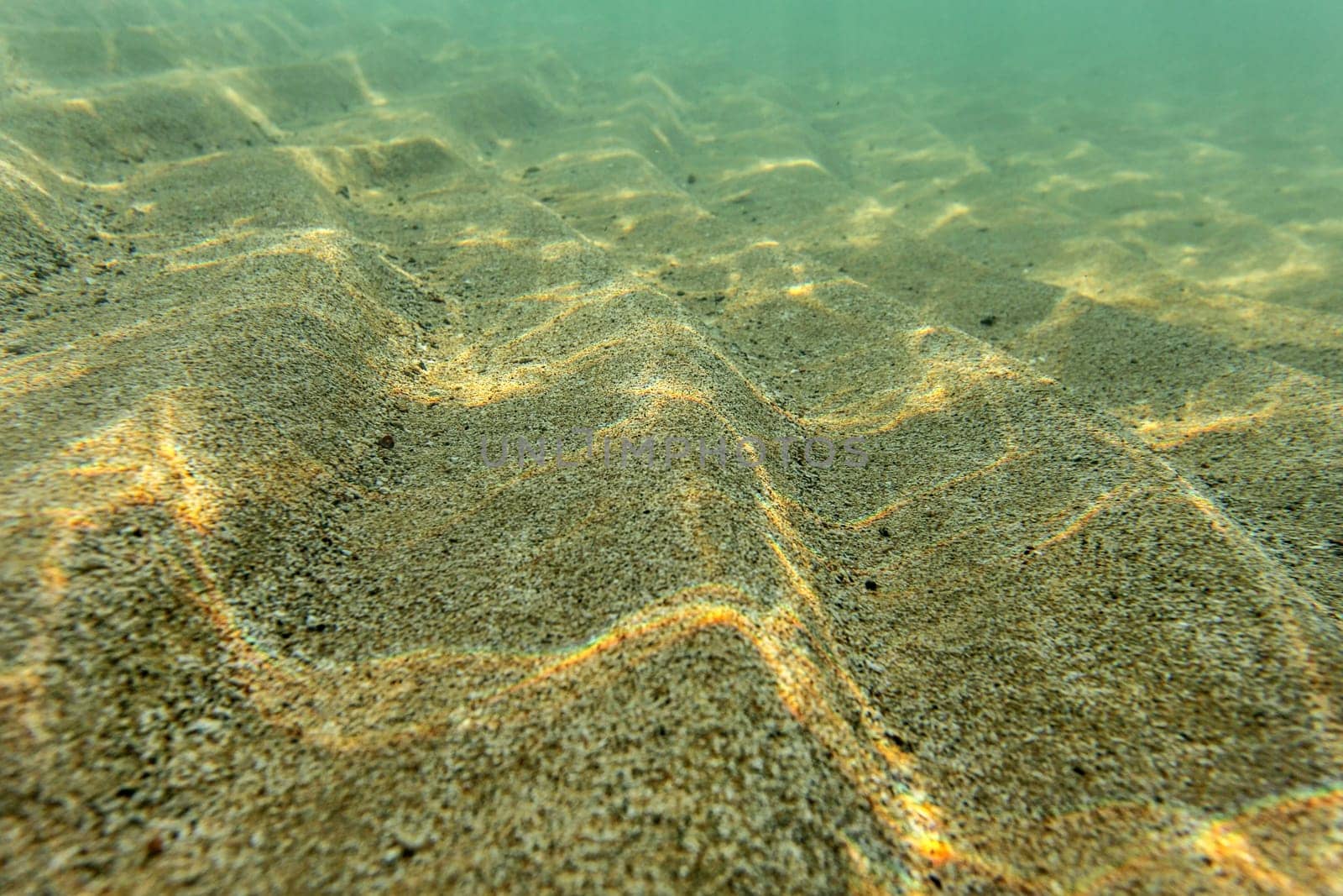 Shallow sea bottom, sand "dunes" lit by sun. Abstract marine background.