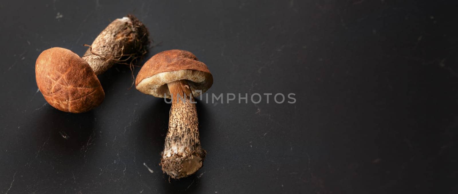 Tabletop view, two young scaber stalk bolete (Leccinum scabrum) mushrooms on black board, Banner with space for text on the right. by Ivanko