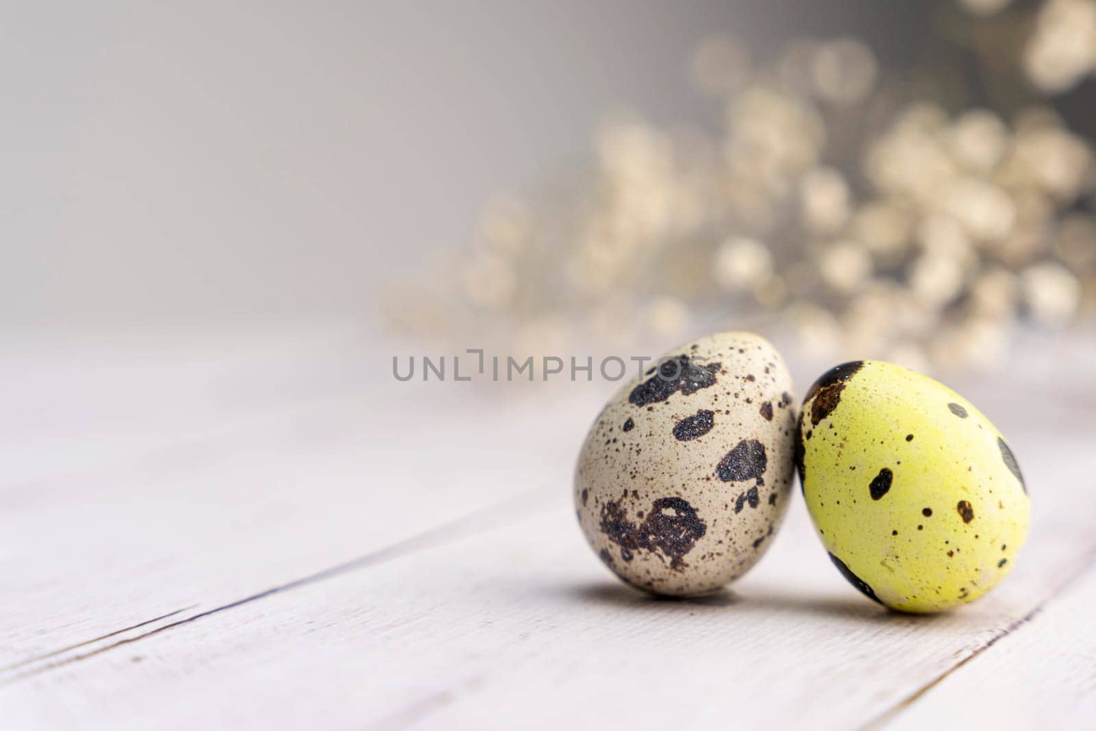 easter eggs and a branch of gypsophila on a light background. Easter greeting card. space for copying. close-up of quail eggs.