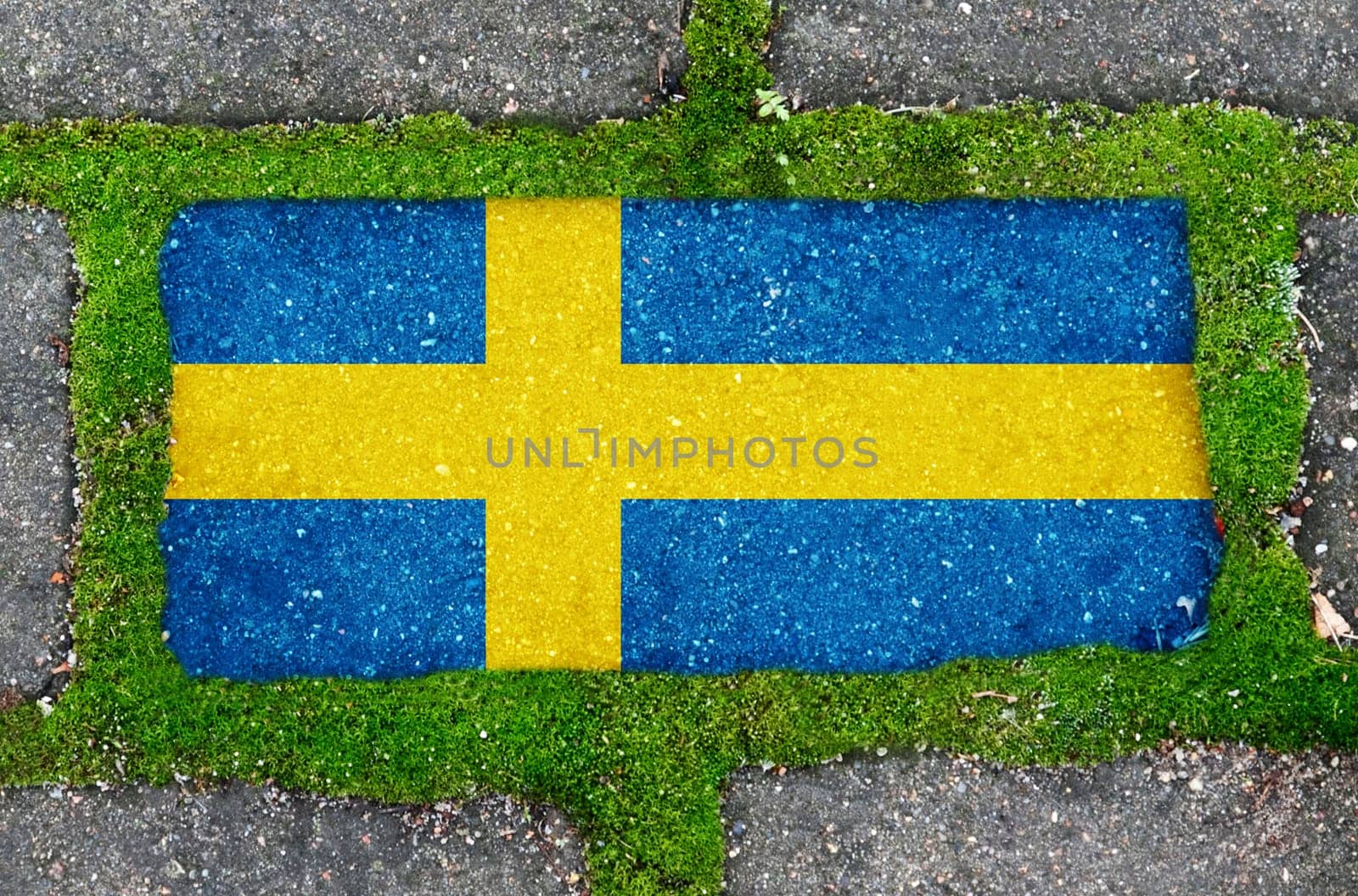 Ecological concept. On the sidewalk in green moss, paving slabs with the image of the flag of Sweden.