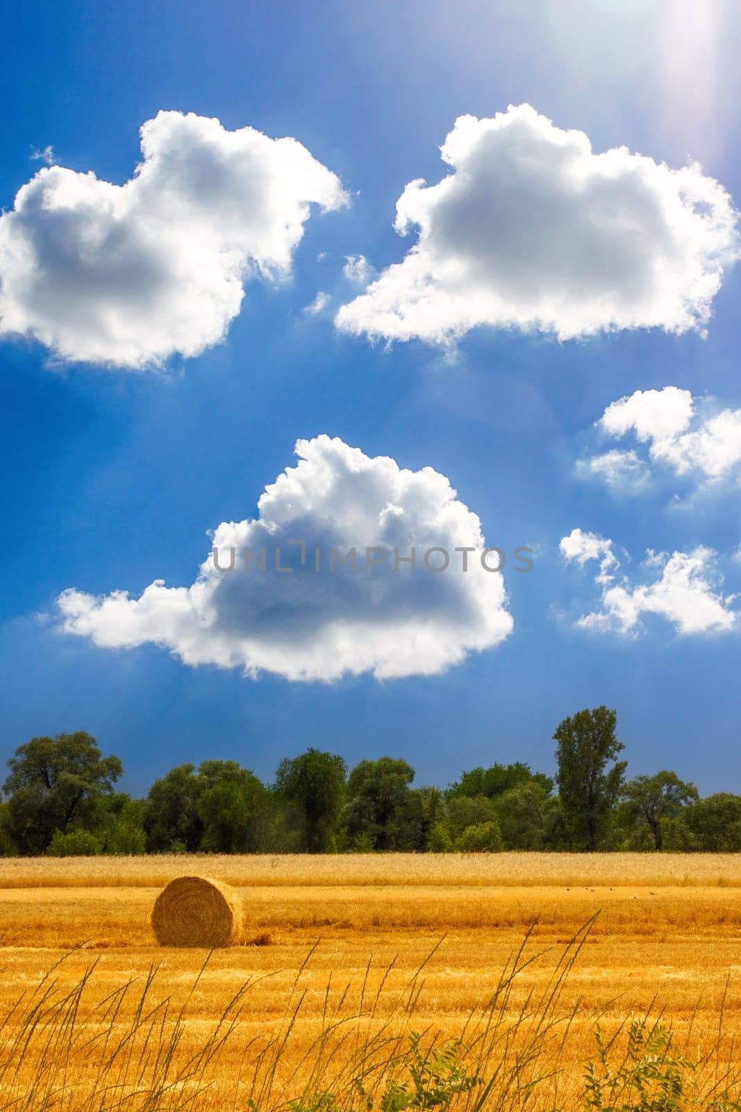 Harvested wheat field at the end of summer, harvesting under a picturesque sky.
