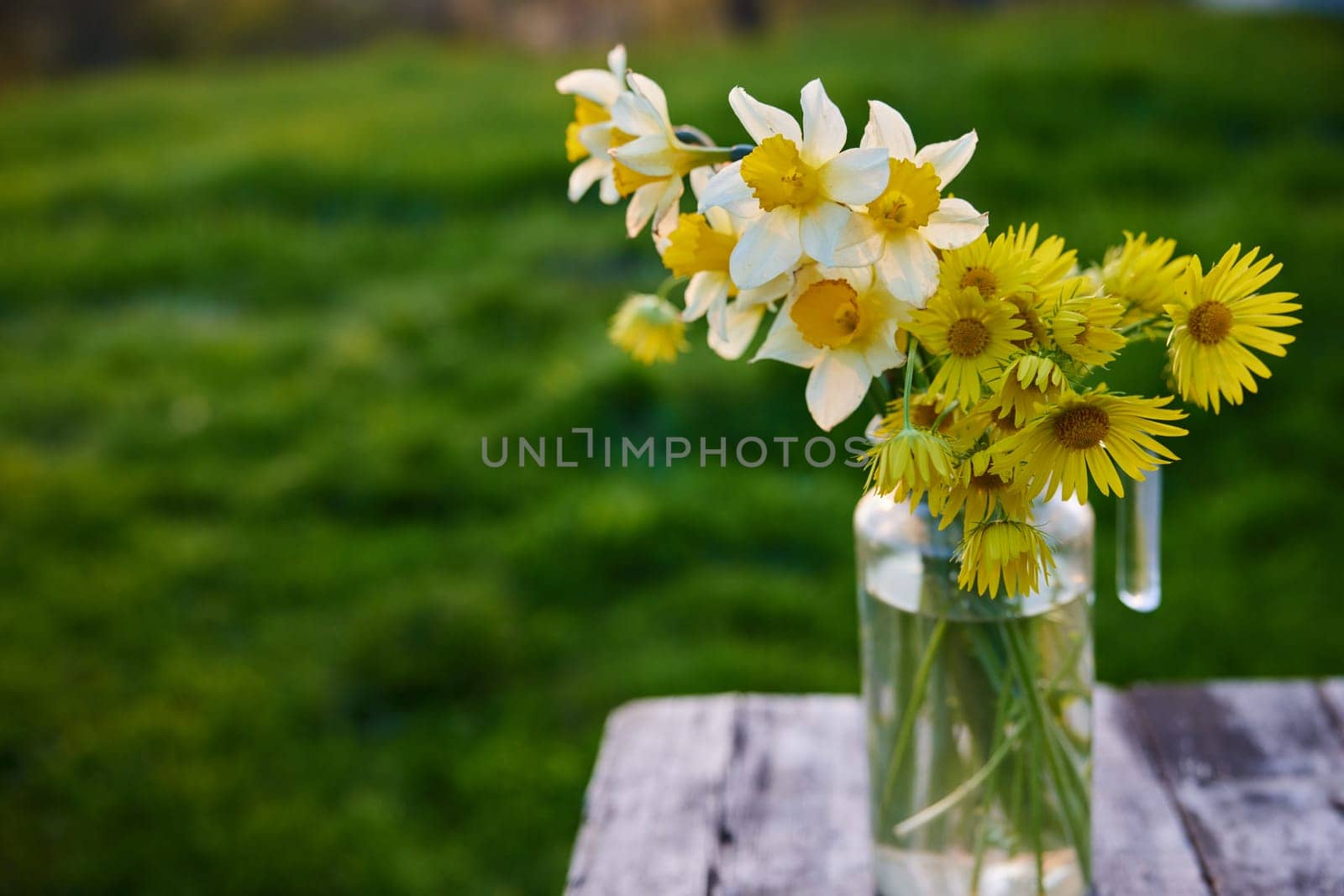 still life of rural flowers. High quality photo