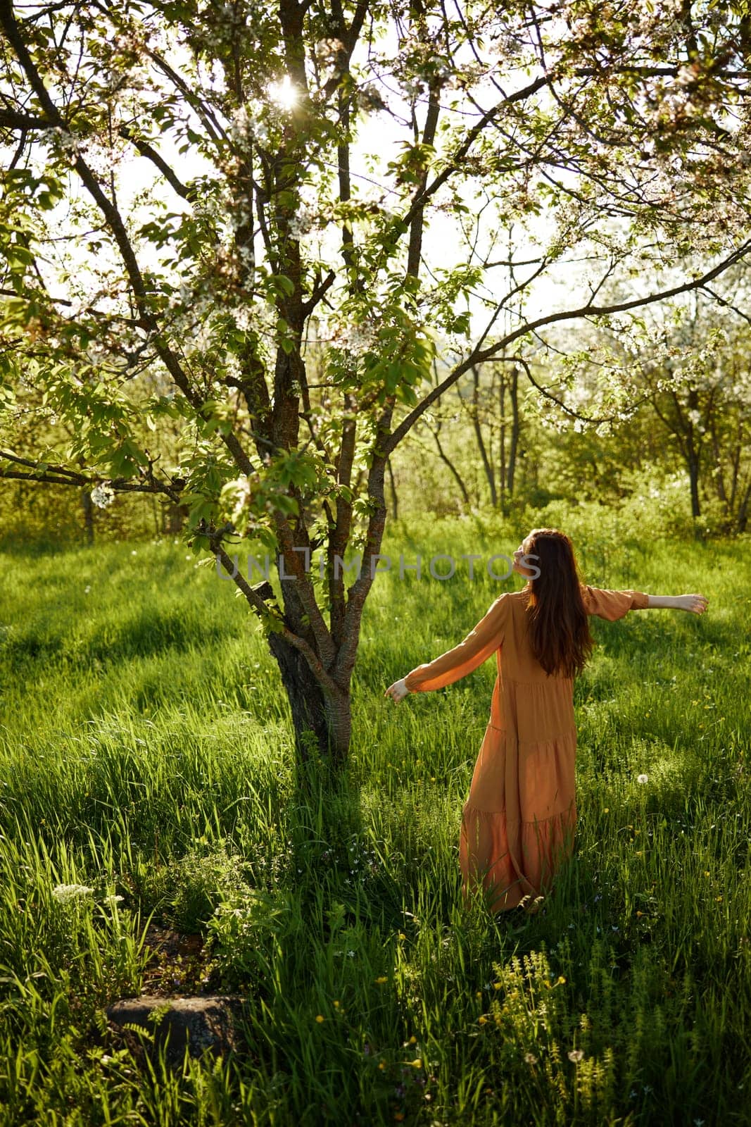 a beautiful, joyful woman stands in a long orange dress, in the countryside, near a tree blooming with white flowers, during sunset, illuminated from behind and raises her hands up while standing with her back to the camera. High quality photo