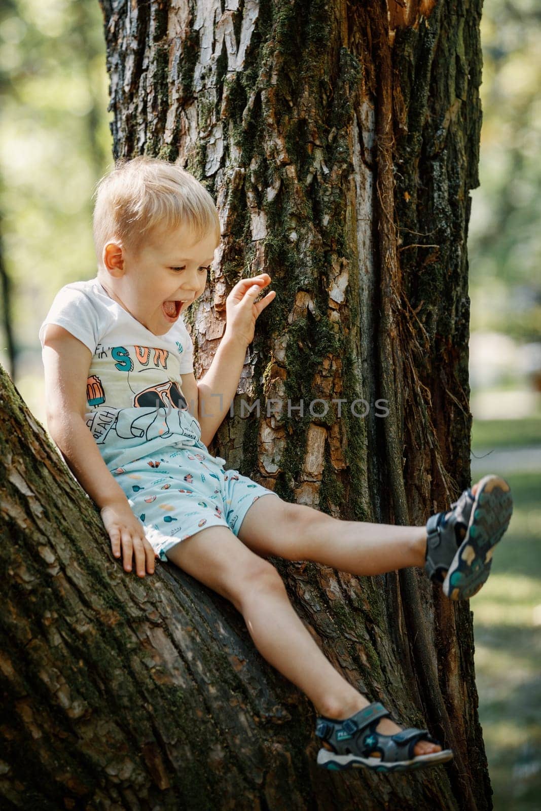 Cheerful little boy climbing on the big tree exploring the nature. Happy child playing in the park. Playful kid having fun in the forest on a summer day. by Lincikas