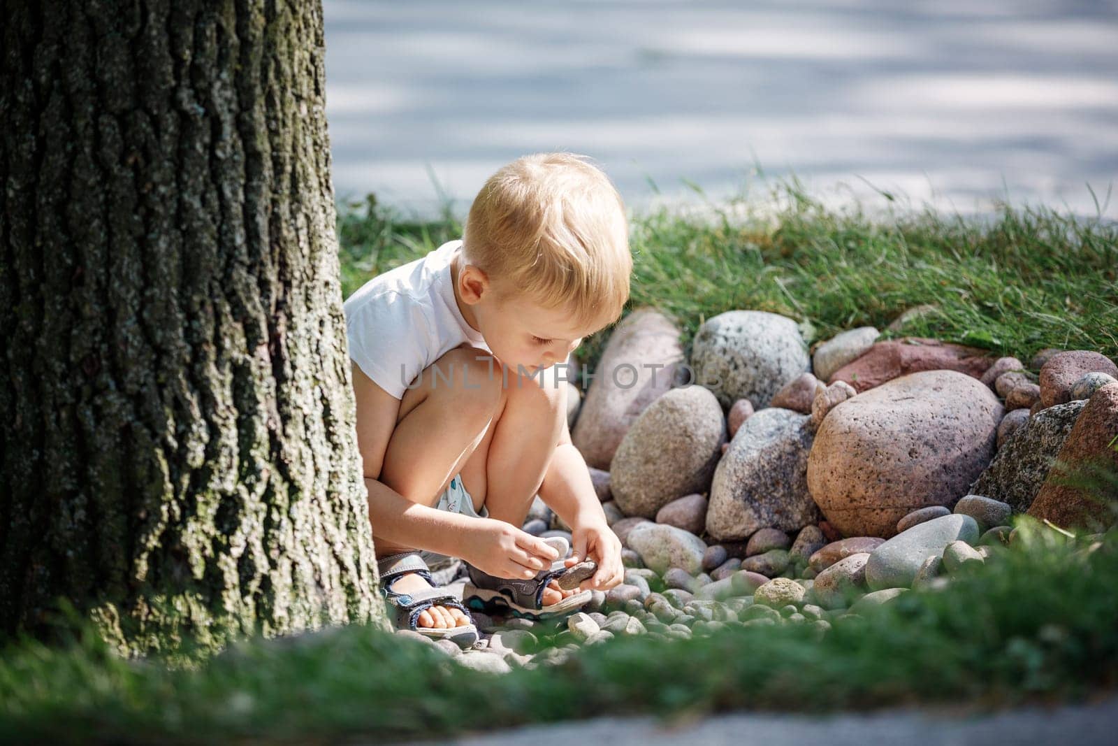 A little boy squats by a large tree trunk and plays with pebbles. by Lincikas