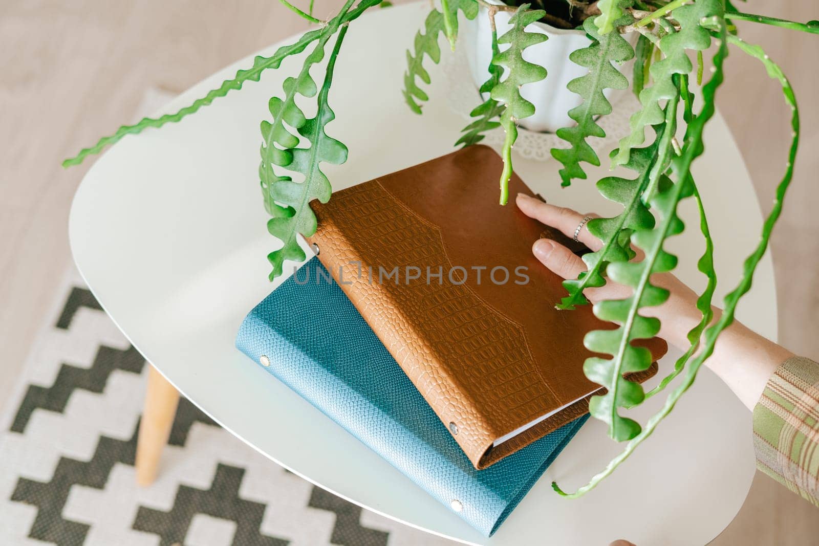 Close up woman's hand putting blue and brown blank copy space notepads on the table desk. Green brush leaves hanging over pile of notebooks on white table mockup by Ostanina
