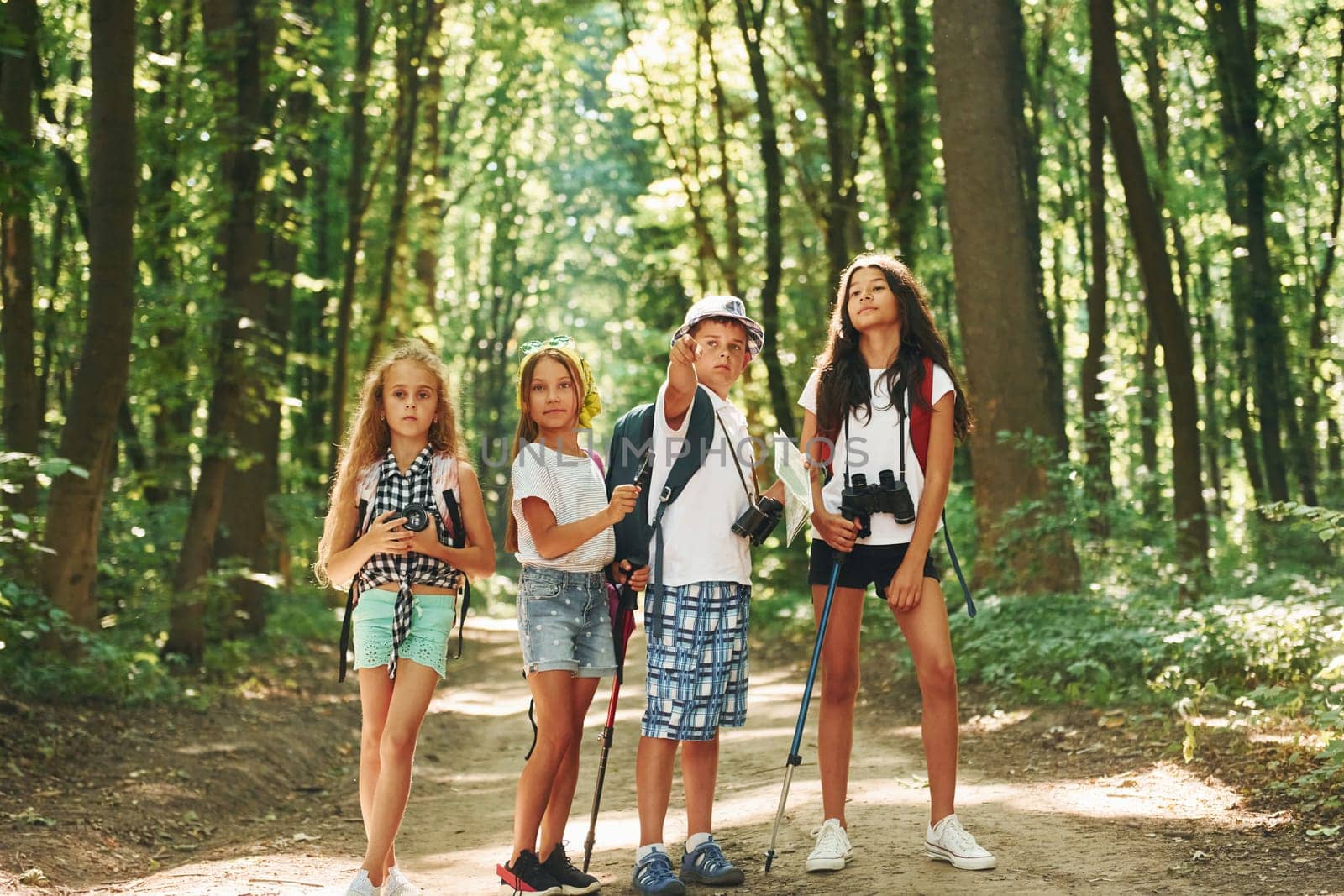 Beautiful sunlight. Kids strolling in the forest with travel equipment.