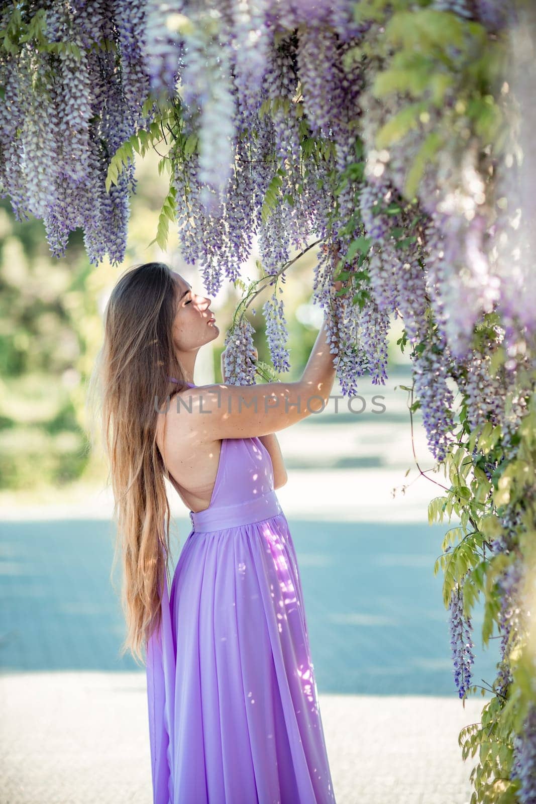 Woman wisteria lilac dress. Thoughtful happy mature woman in purple dress surrounded by chinese wisteria by Matiunina