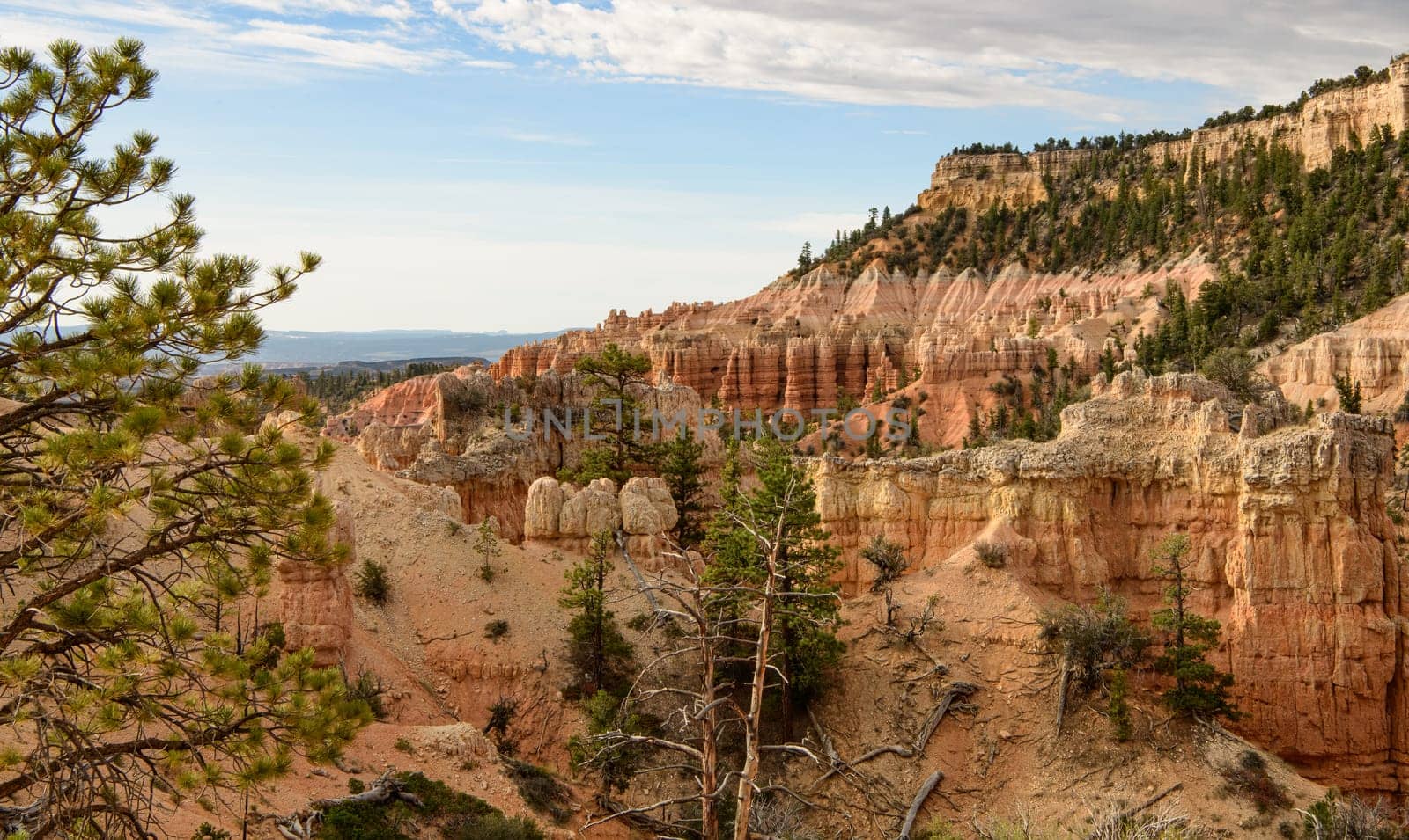 Grand View of Bryce Canyon at Dawn