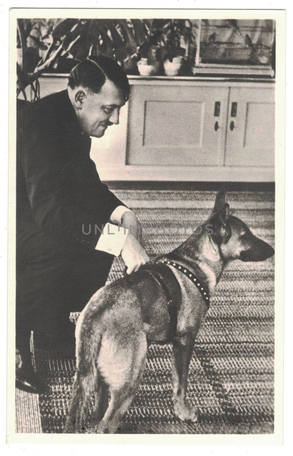 HAUS WACHENFELD, GERMANY - CIRCA 1940: Adolf Hitler and his dog. Hitler was leader of nazi Germany. Reproduction of antique photo.