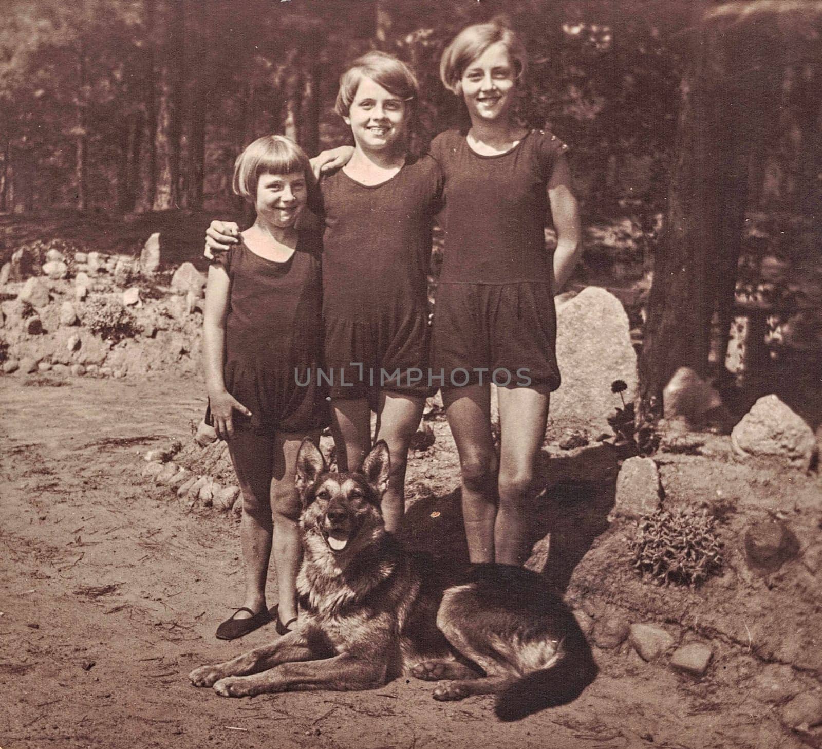 Vintage photo shows 3 young girls in the summer time. Girls wear swimmsuit and pose with German Shepherd Dog. Photo with sepia effect. by roman_nerud