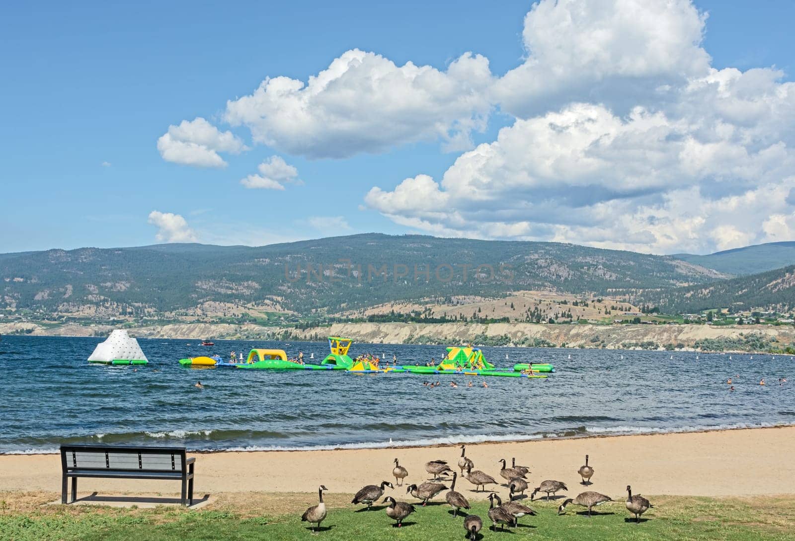 Sand beach and water soaking attraction on Okanagan lake. Recreation area with beautiful overview of a lake and mountains on bright summer day