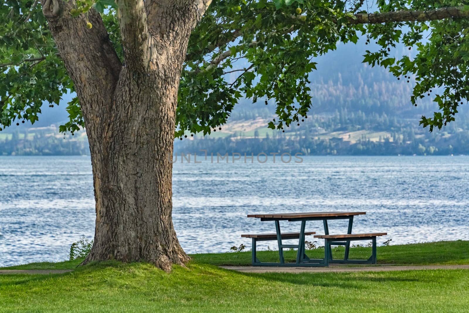 Recreational area with the table on lake's shore. Calm place with mountains overview under the crown of big chestnut tree