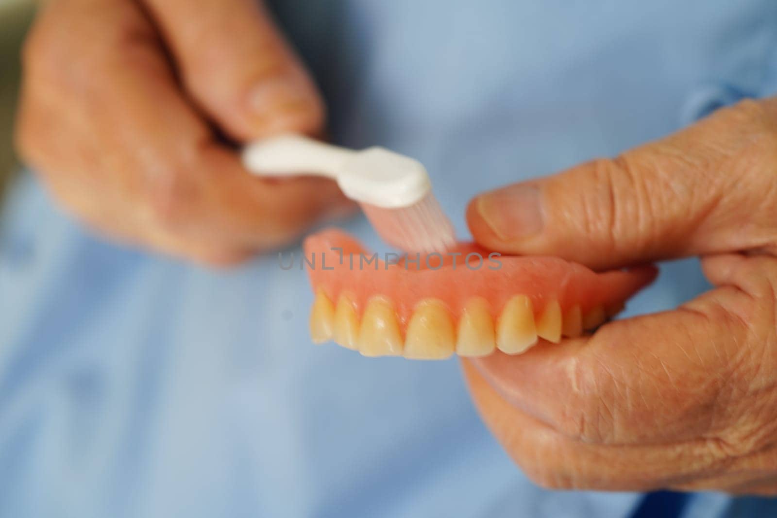 Asian senior woman patient brush teeth denture with toothbrush for chew food.