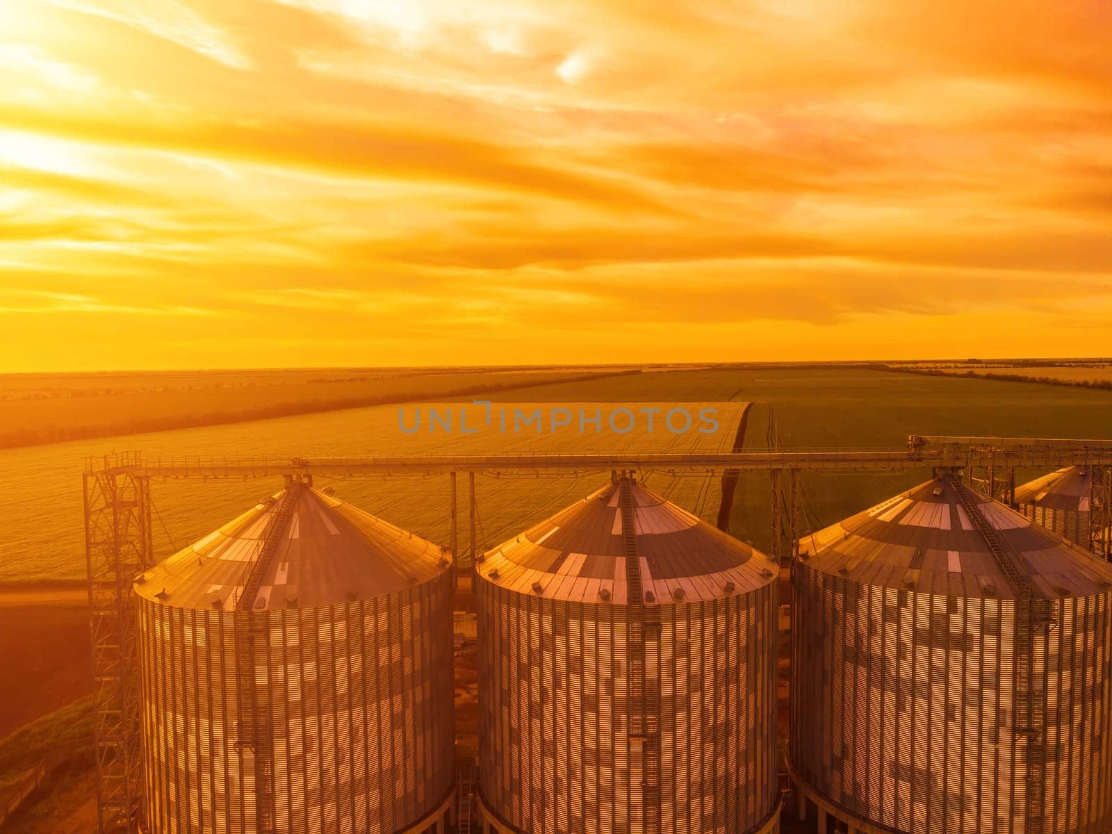 Grain silos on a green field background with warm sunset light. Grain elevator. Metal grain elevator in agricultural zone. Agriculture storage for harvest. Aerial view of agricultural factory. Nobody. by panophotograph