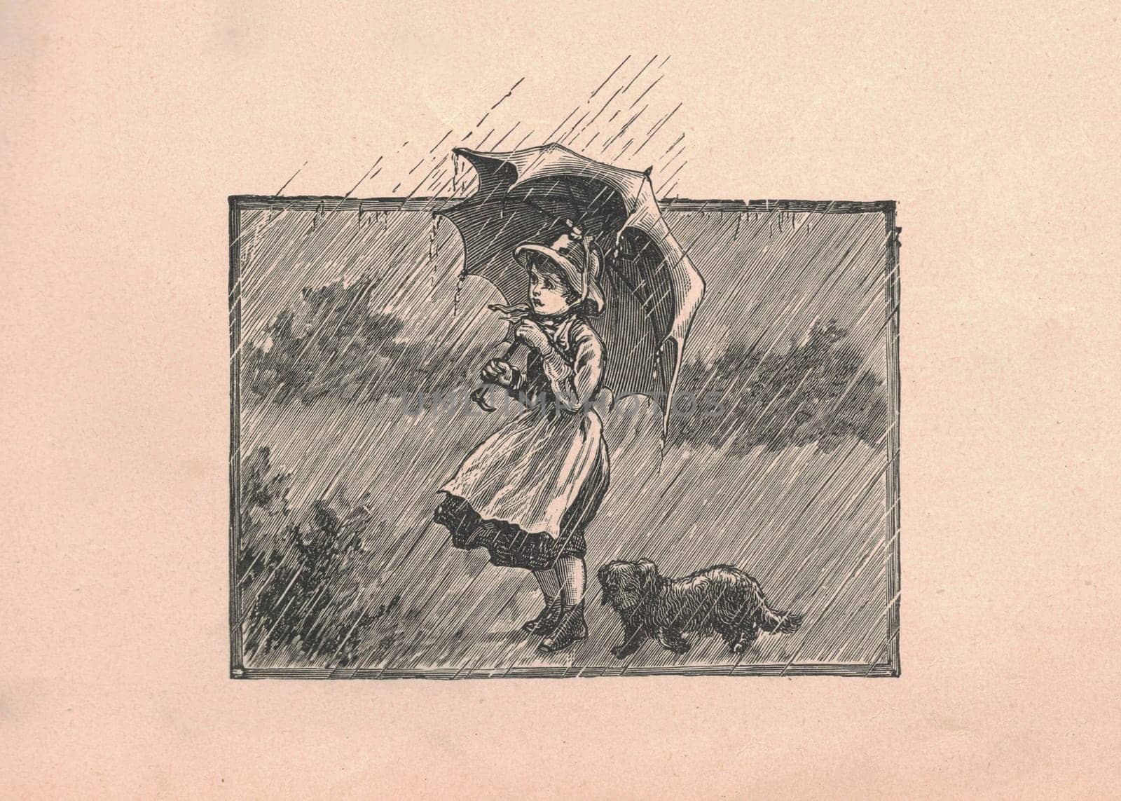 Black and white antique illustration shows a little girl holds umbrella in rainy time. Vintage drawing shows a little girl and dog in a rainy day. Old picture from fairy tale book. Storybook illustration published 1910. by roman_nerud