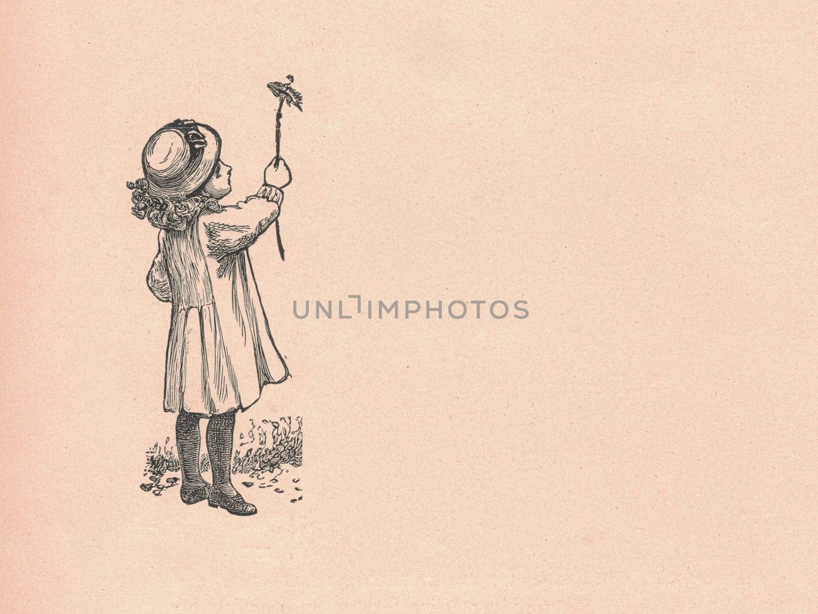 Black and white antique illustration shows a little girl wears hat. Vintage drawing shows the small girl wears female hat. Old picture from fairy tale book. Storybook illustration published 1910. by roman_nerud