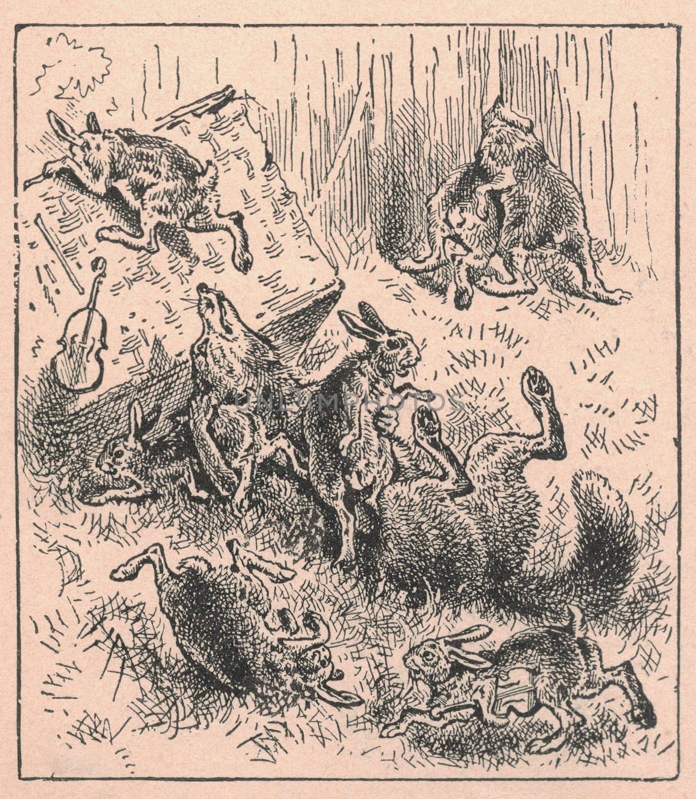 Black and white antique illustration shows a group of hares dances on a meadow. Vintage drawing shows the jackrabbits in the forest. Old picture from fairy tale book. Storybook illustration published 1910 by roman_nerud