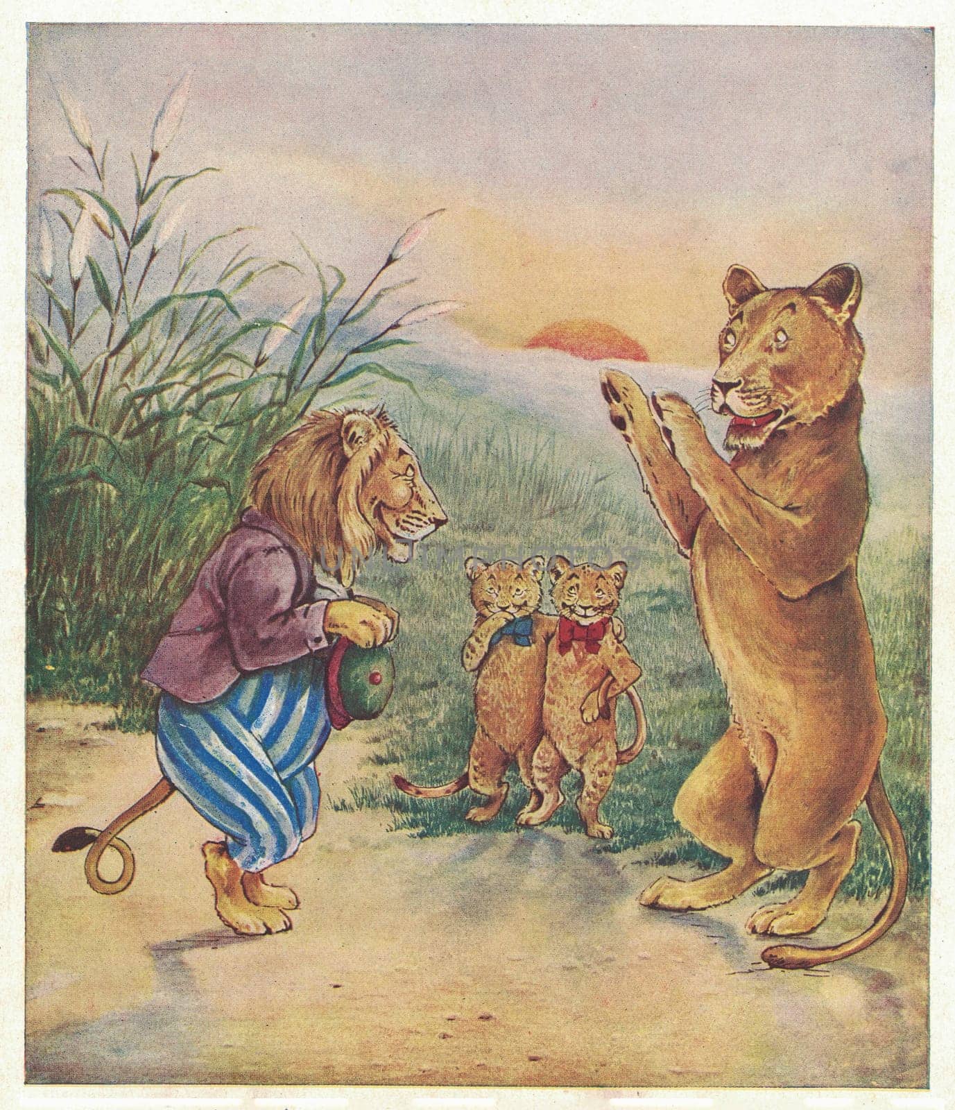 Colorful antique illustration shows a cute lion's family. Vintage drawing shows a happy lion's family. Old picture from fairy tale book. Storybook illustration published 1910. by roman_nerud