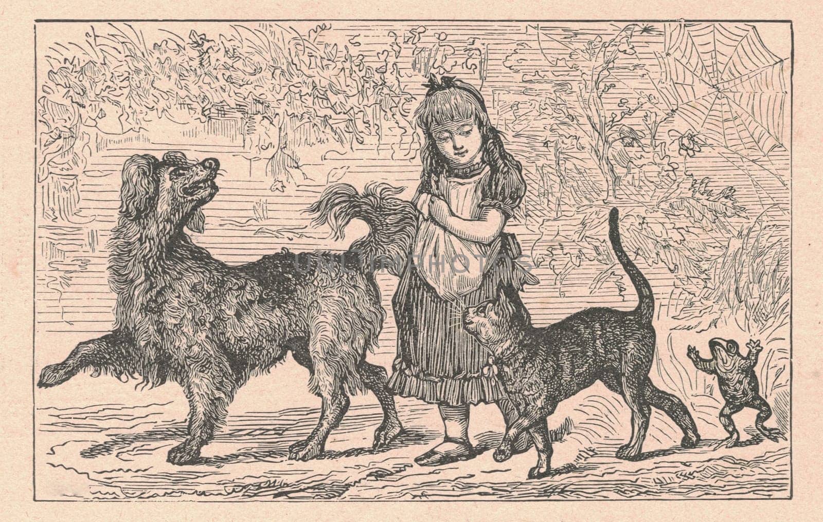 Black and white antique illustration shows a girl goes for a walk with a dog, cat and frog. Vintage drawing shows the girl goes for a walk with animals. Old picture from fairy tale book. Storybook illustration published 1910. by roman_nerud