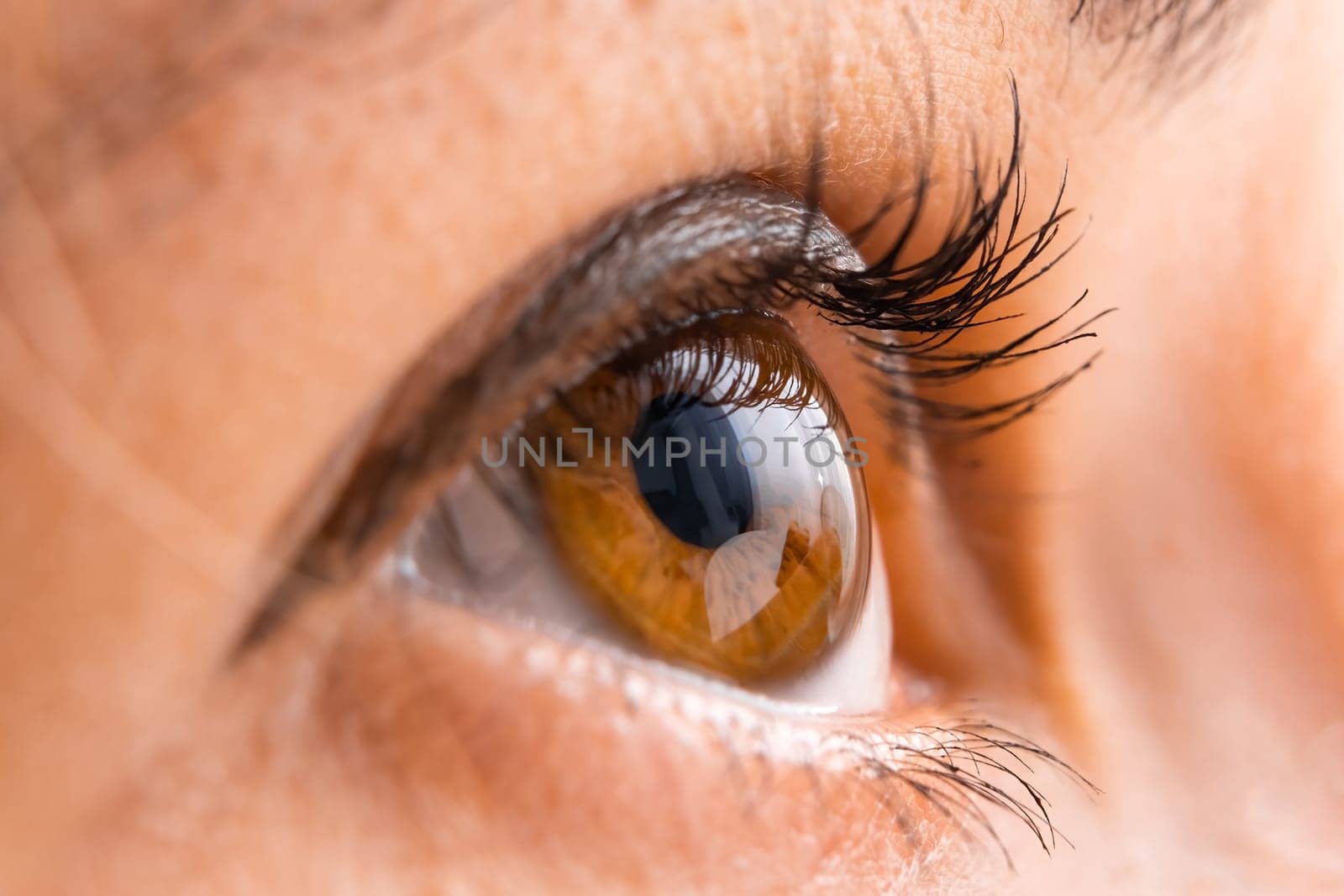 Close up of brown eye with painted eyelashes.