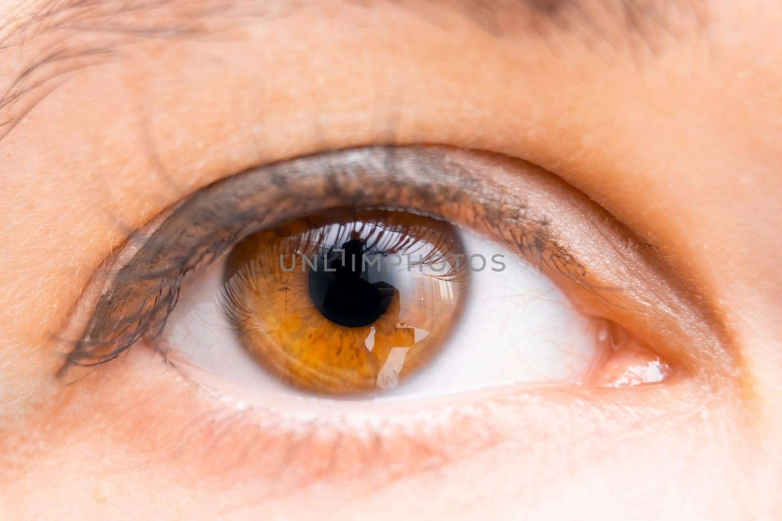 Close up womans brown eye.