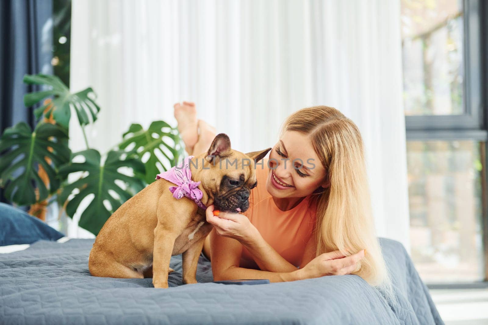 Laying down on bed. Woman with pug dog is at home at daytime.