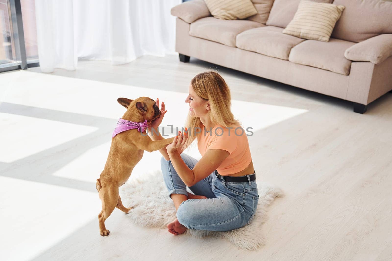 Having a rest. Woman with pug dog is at home at daytime.