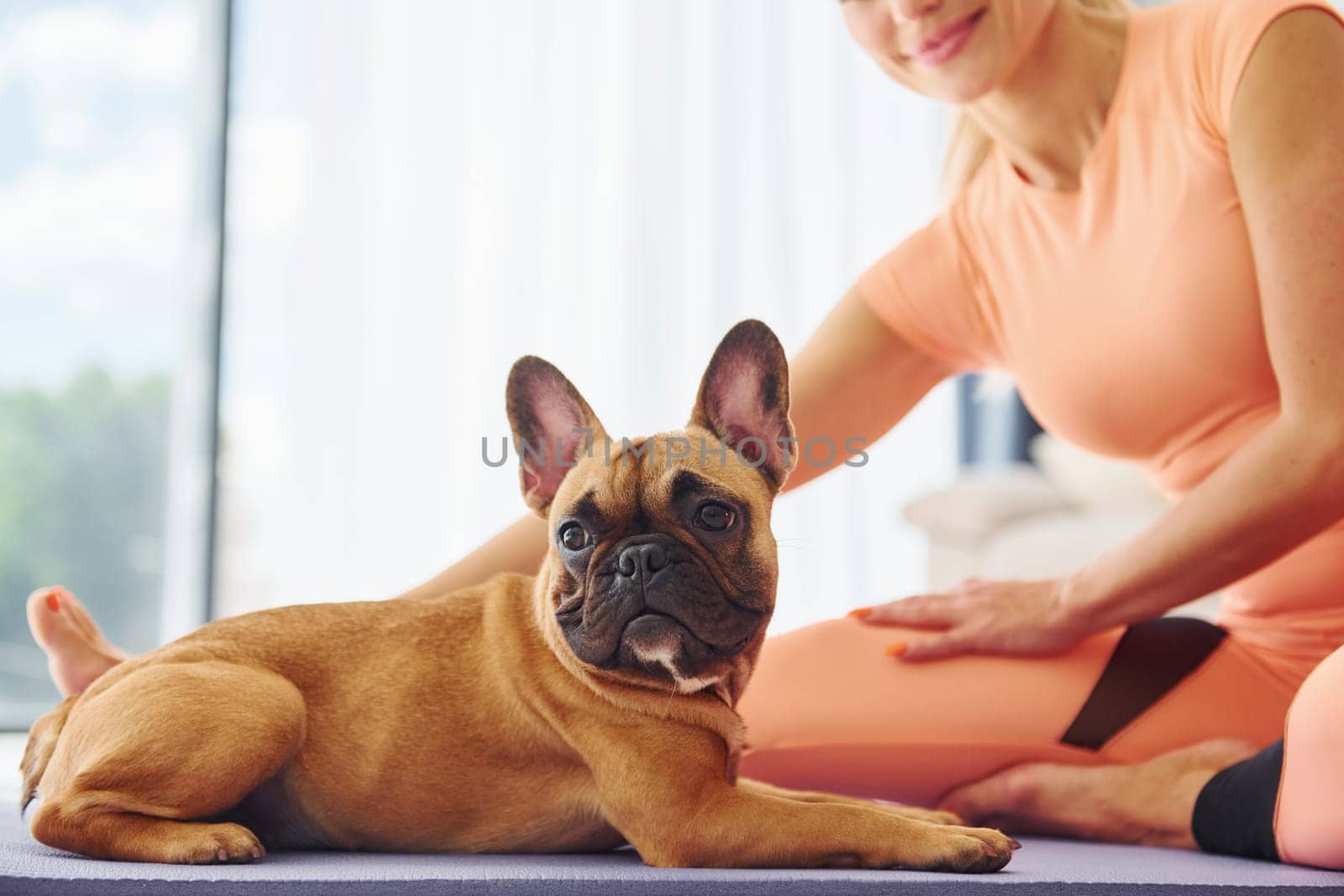 Yoga time. Woman with pug dog is at home at daytime.