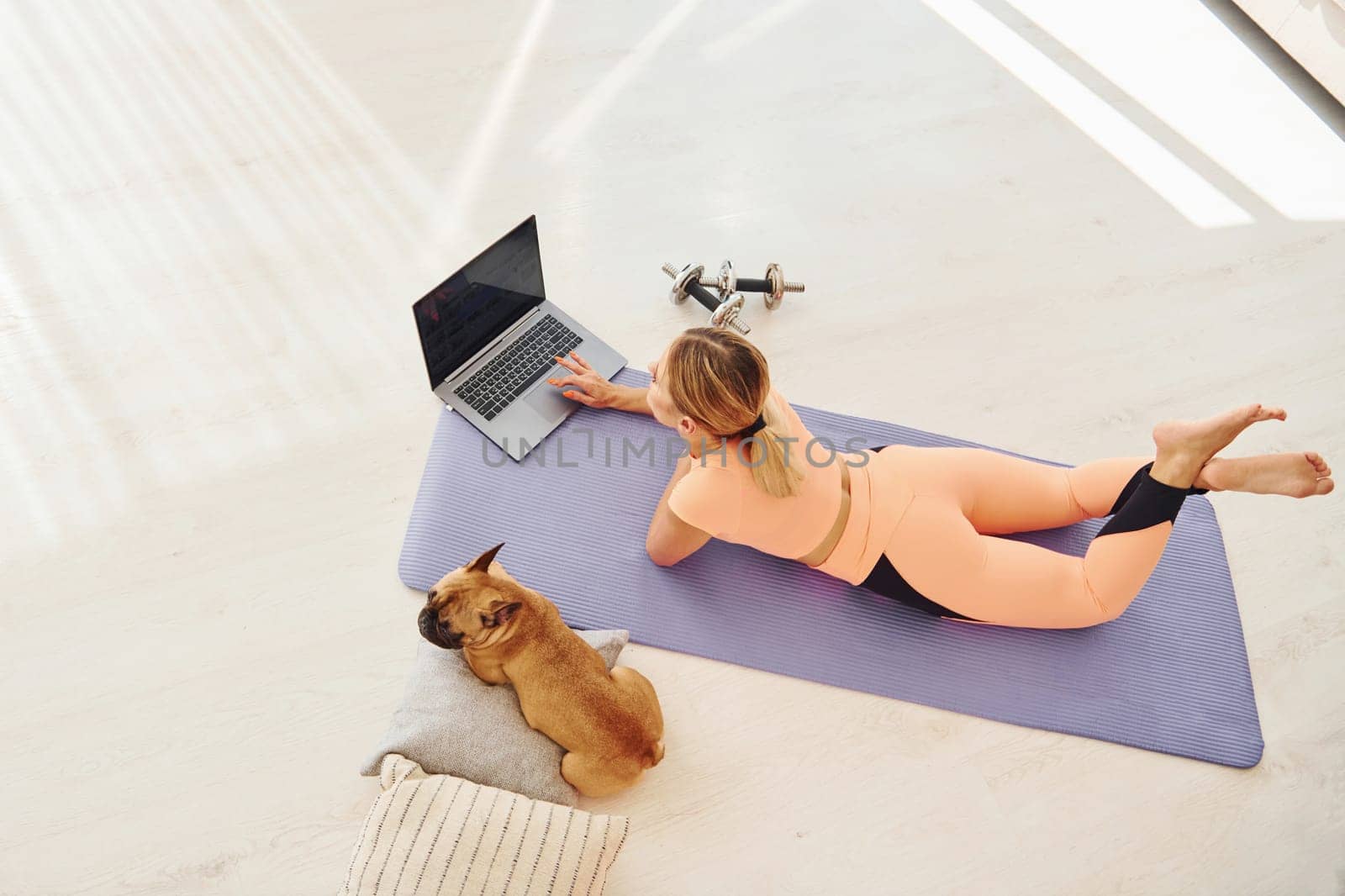 Top view of woman with pug dog and laptop that is at home at daytime.