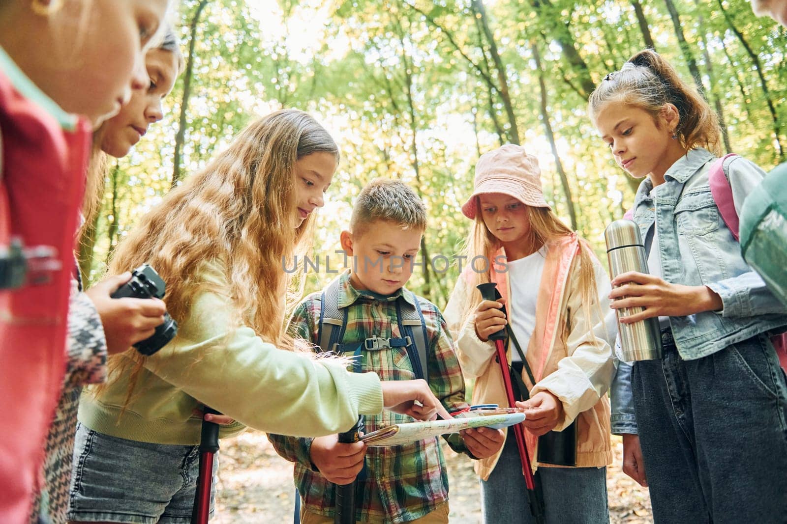 Using map. Kids in green forest at summer daytime together.