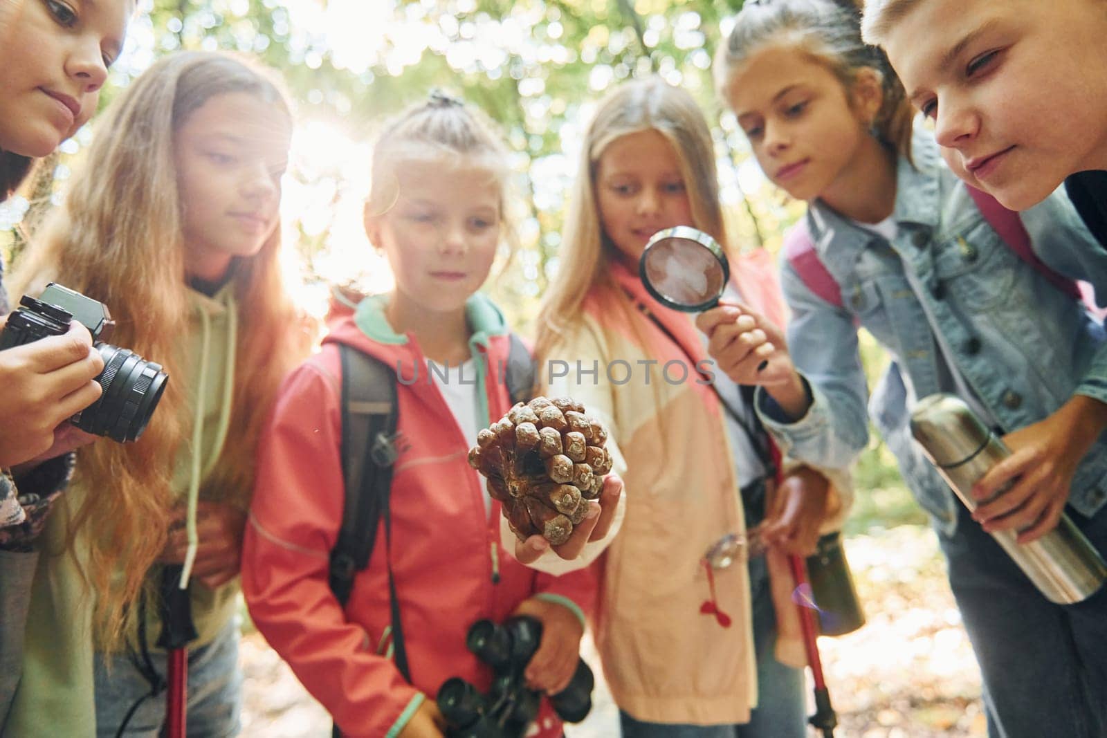 Standing together. Kids in green forest at summer daytime together by Standret