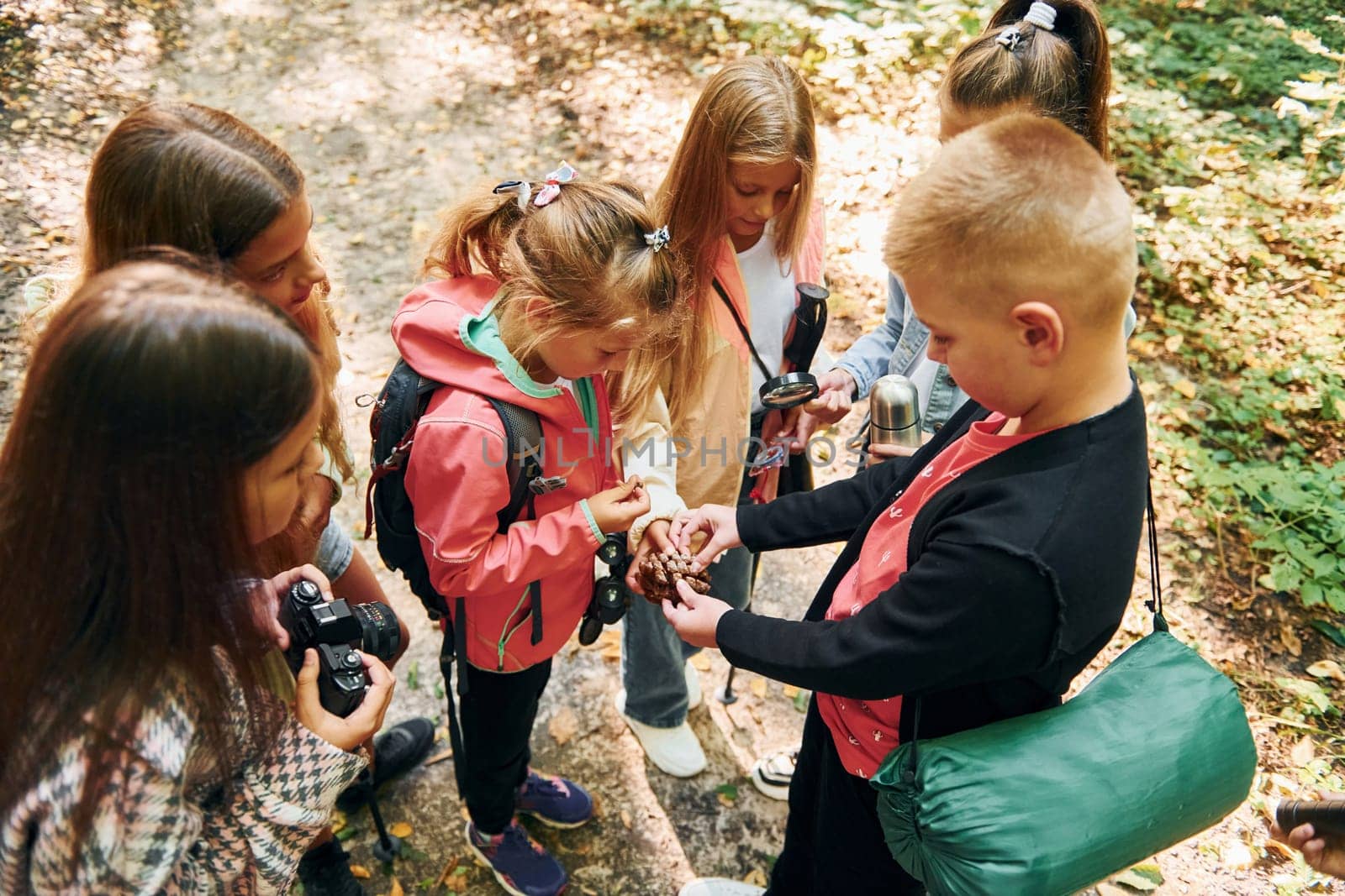 View from above. Kids in green forest at summer daytime together by Standret