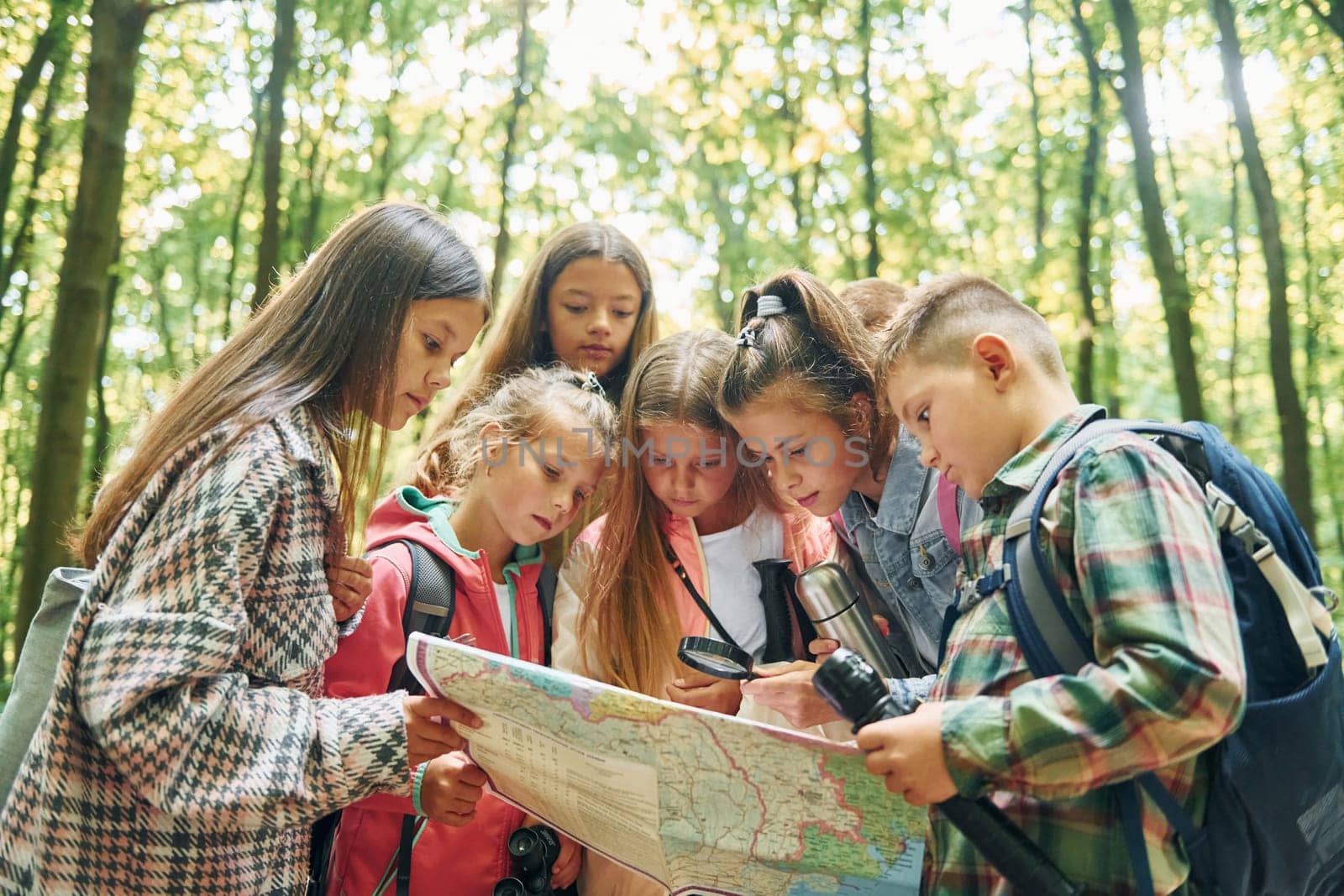 Using map. Kids in green forest at summer daytime together by Standret