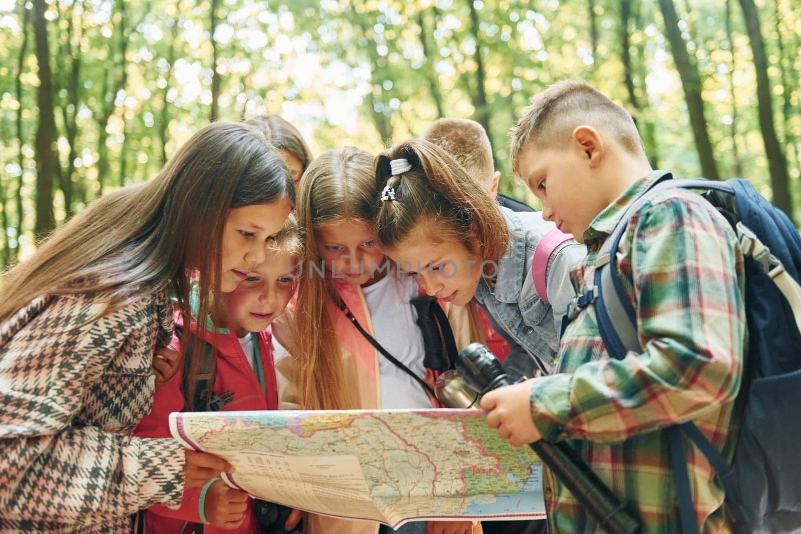 Using map. Kids in green forest at summer daytime together.