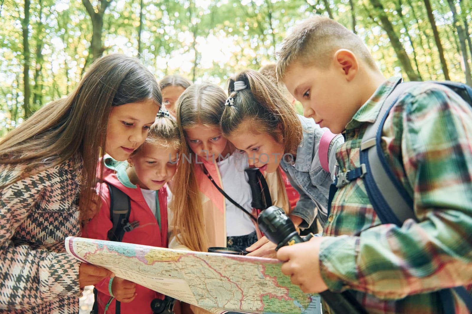 Using map. Kids in green forest at summer daytime together.