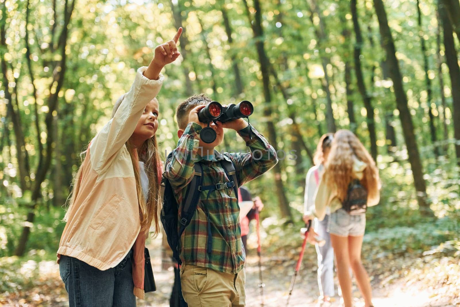 New places. Kids in green forest at summer daytime together.