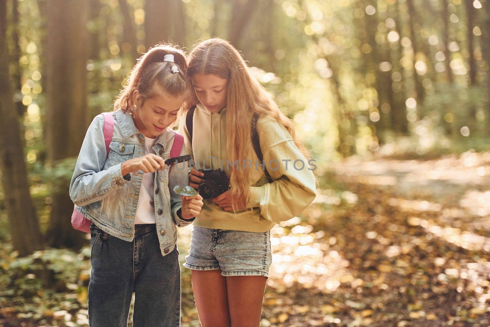 Two girls in green forest at summer daytime together by Standret