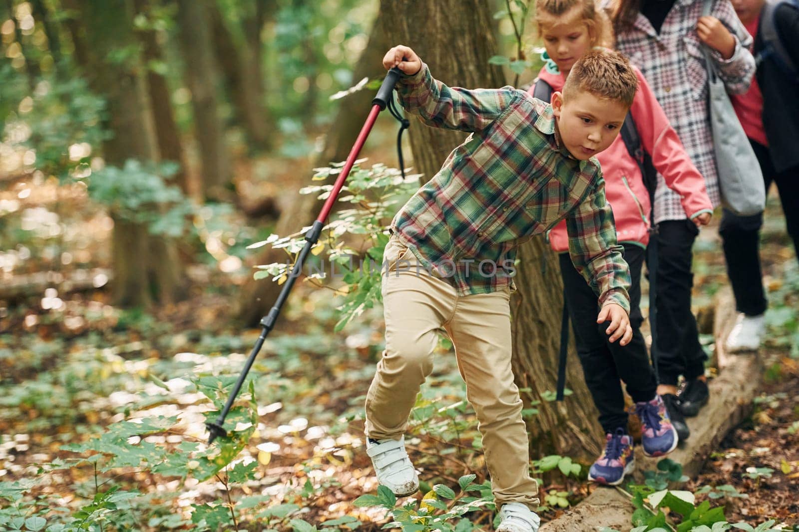 With touristic equipment. Kids in green forest at summer daytime together.