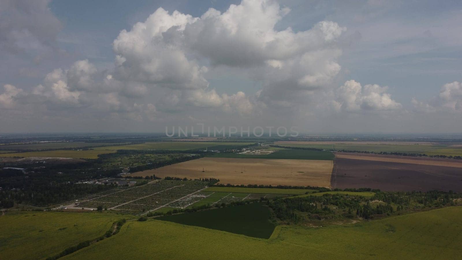 Fast moving of white clouds in sky above agrarian field of blooming sunflowers by Mari1408