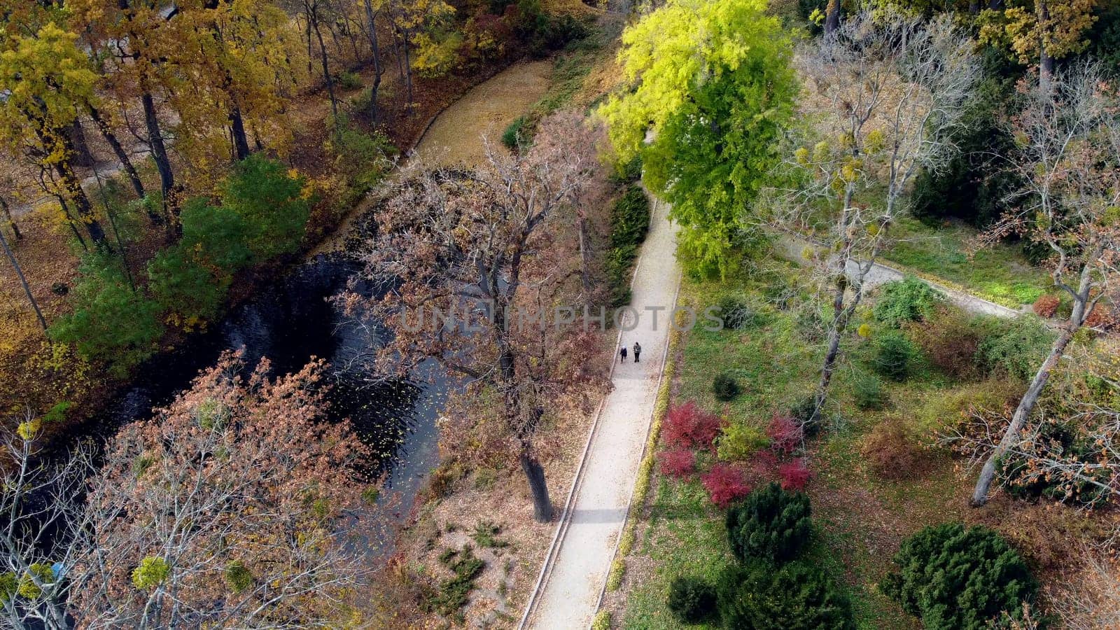 Beautiful view people walking on ground paths near the lake in a park with trees with yellow red green fallen leaves on a sunny autumn day. Aerial drone view. Top view. Beautiful natural background