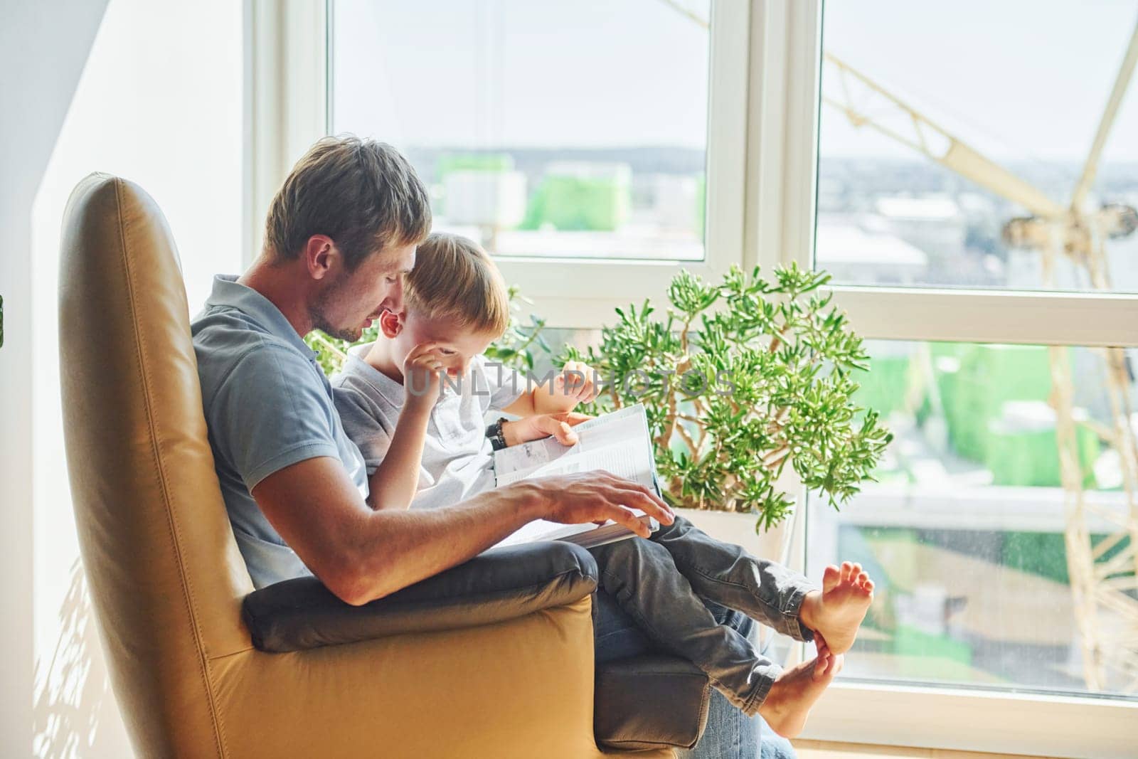 Sitting with book. Beautiful sunlight. Father and son is indoors at home together.