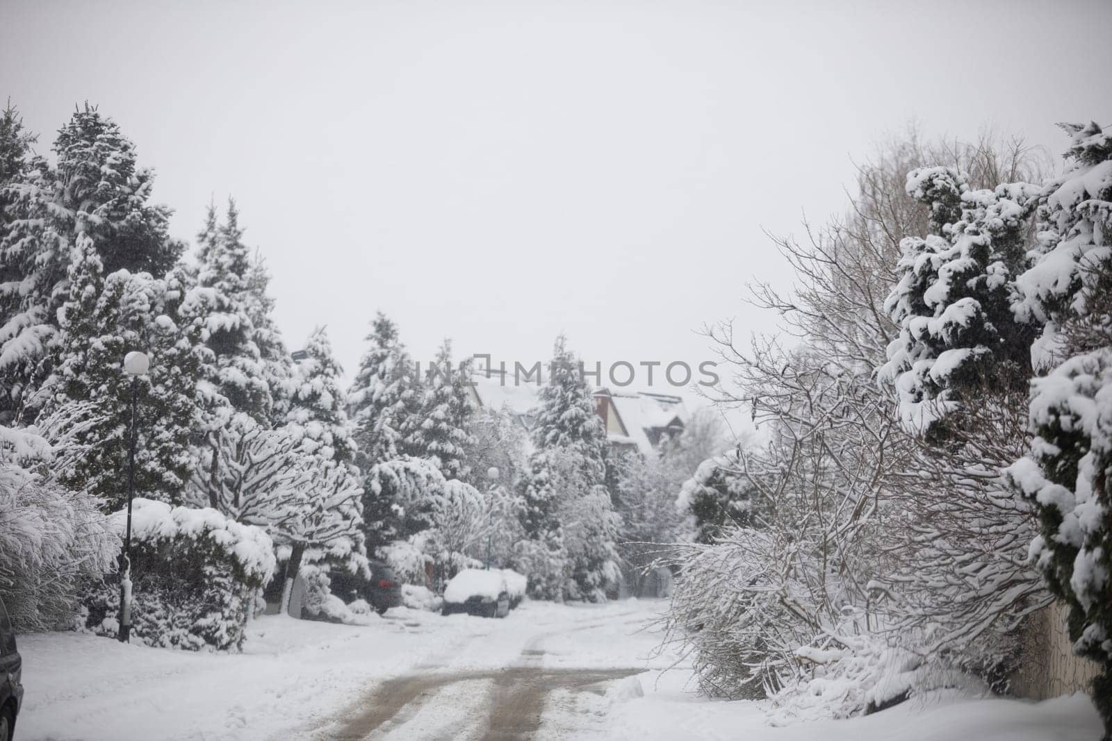 Snow has covered the trees, cars, street and sidewalks. There are tall trees on both sides of the estate street. It is winter and there is heavy snowfall. A residential block can be seen in the distance.