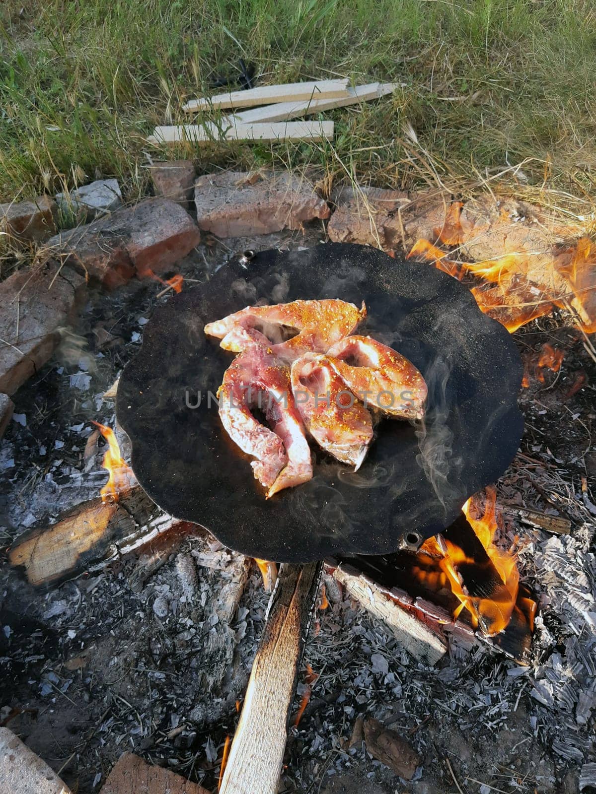 Appetizing carp steaks are cooked on a fire in nature. Roasted carp in nature.