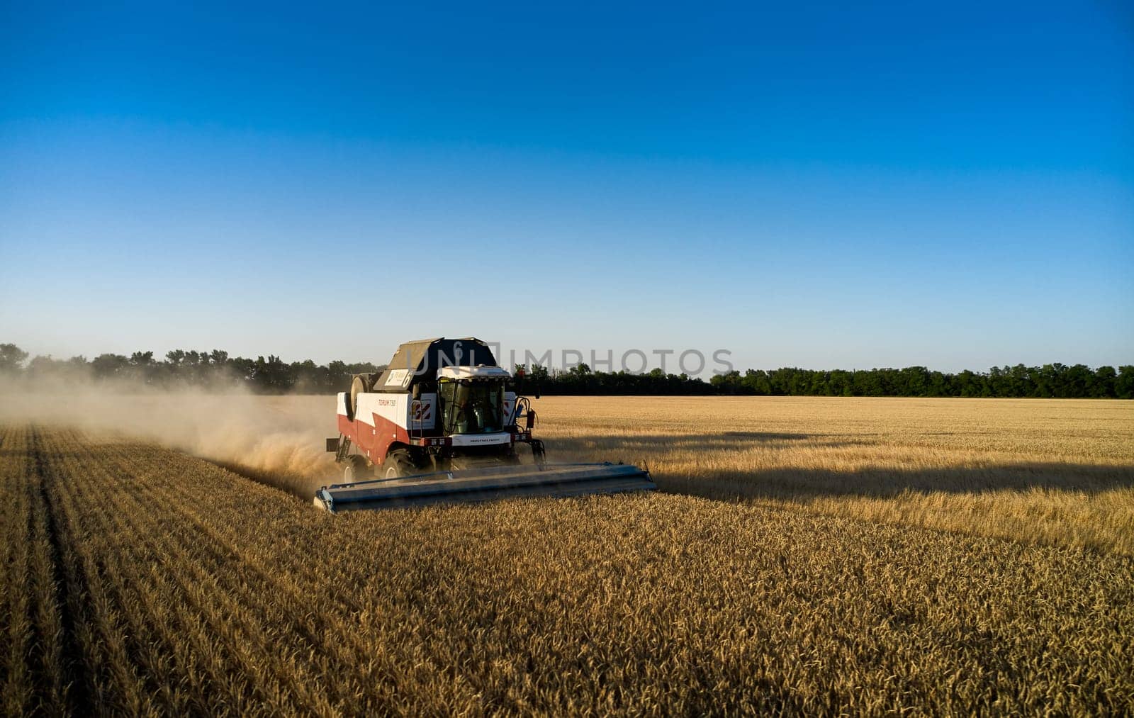 Harvester works in the field. Combine Harvesting Wheat. Field field of cereals during harvesting. Modern equipment works. 07.07.22, Rostov region, Russia.