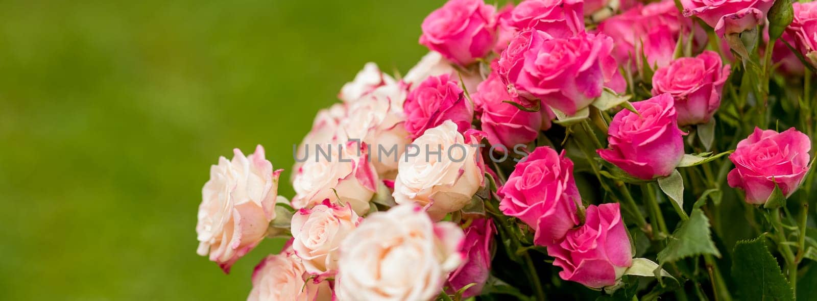 Small roses bouquet on green background with copy space. Floral greeting card mockup. Wedding invitation,happy mother day or Valentine day concept.web banner by YuliaYaspe1979