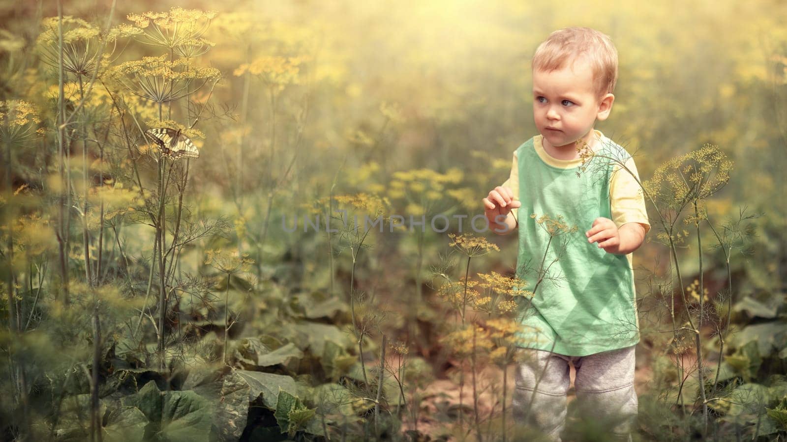 A little boy catches a butterfly amongst large garden plants