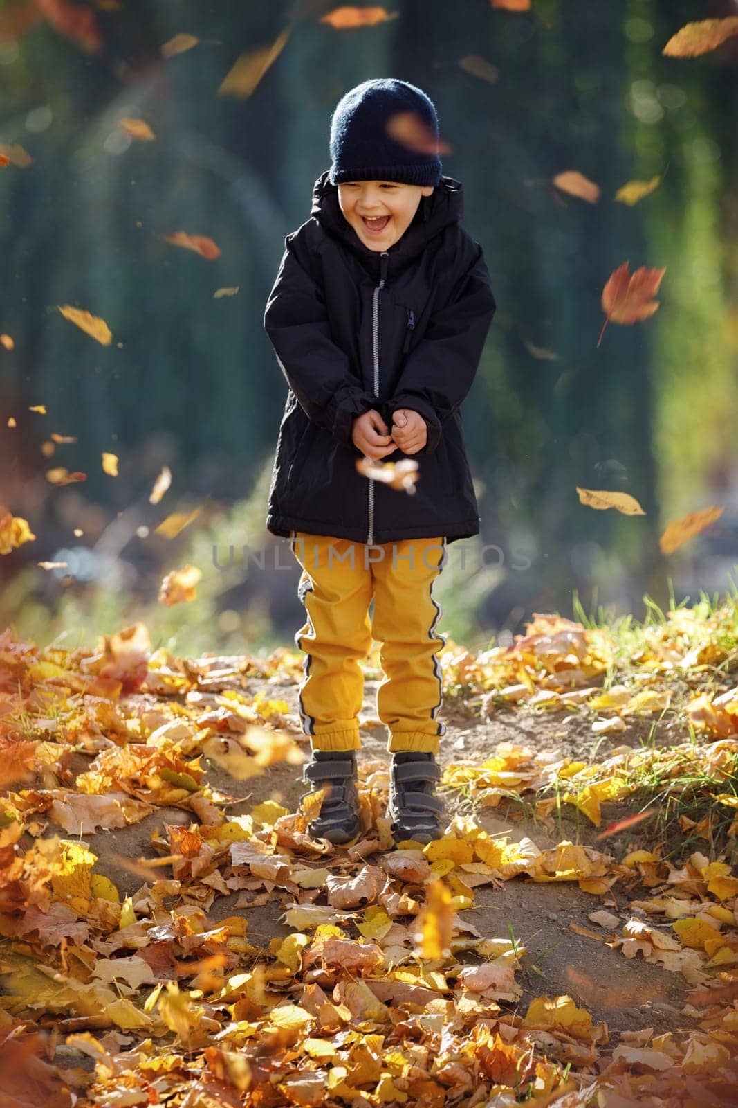Kid play in autumn park. Child throwing yellow leaves. Child boy with oak and maple leaf. Fall foliage. Family outdoor fun in autumn. Toddler or preschooler in fall. by Lincikas