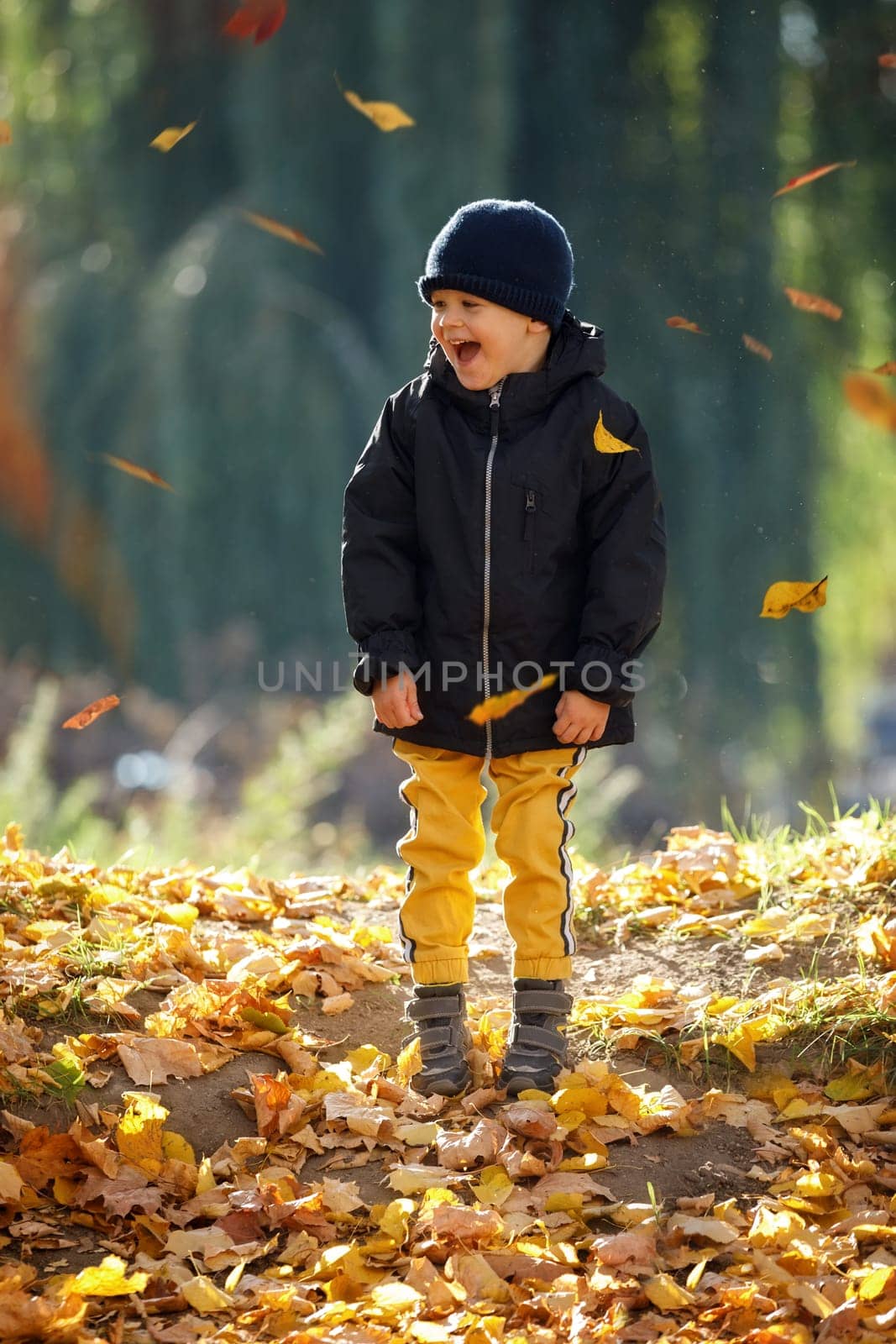 Happy boy with autumn leaves. The concept of childhood, family and kid. Simple happiness. Sweet childhood memories. by Lincikas