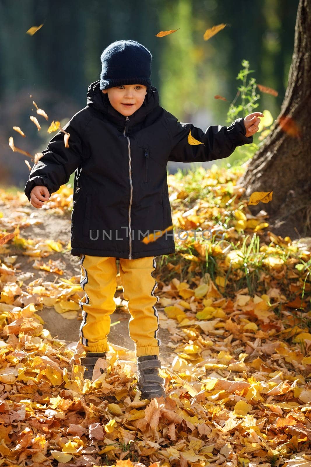 Happy adorable child boy with leaves in autumn park. The concept of childhood, family and kid. Happy childhood.